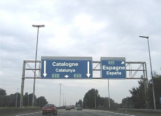 cat_esp